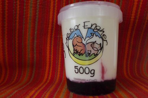 Yogurt Frutti di Bosco - 500 gr